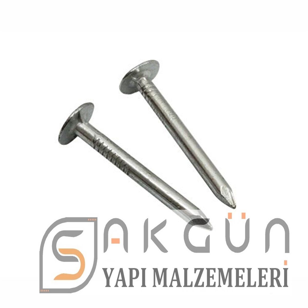 Shngle ivisi